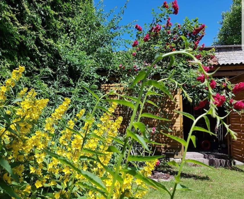City Appartement Mit Garten, Zentral Und Trotzdem Ruhig Котбус Екстериор снимка