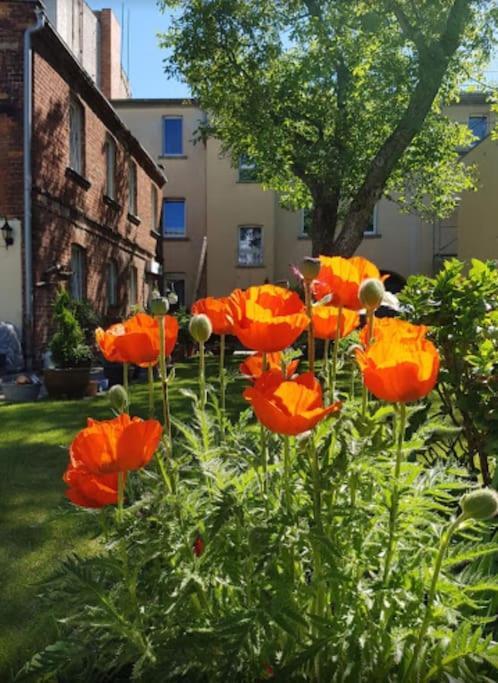 City Appartement Mit Garten, Zentral Und Trotzdem Ruhig Котбус Екстериор снимка